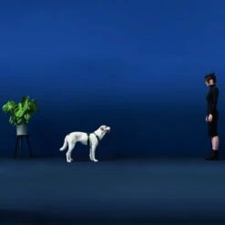 HUNTER Maldon Dog Harness – Black/Grey -Perfect Care Shop 100413 hunter geschirr maldon hs 03 2