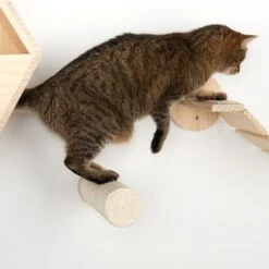 Korbin Wall Mounted Scratch Post -Perfect Care Shop 105348 kratzstamm korbin fg 8518 6