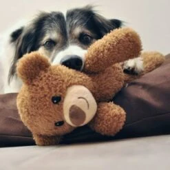 Petlando Moodles Bear 7 Petlando Moodles Bear -Perfect Care Shop 106623 petlando moodles bar hs 02 8