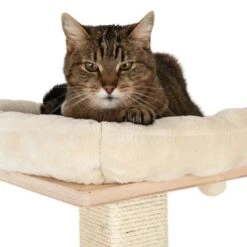 Natural Paradise Scratching Tree - Orchid M -Perfect Care Shop 109398 katze fg 9361 8