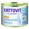 Kattovit Convalescence (Energy Plus)