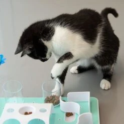 Slo-Mo Cat Toy -Perfect Care Shop 110a75 1 8