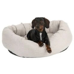 Modern Living Bailey Dog Bed -Perfect Care Shop 111544 hundebett baily fg 0614 5