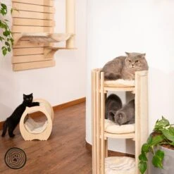 Natural Paradise Scratching Mat Cat Bed - Peony -Perfect Care Shop 113004 np kl 1000x1000 logo la dsc0270 2