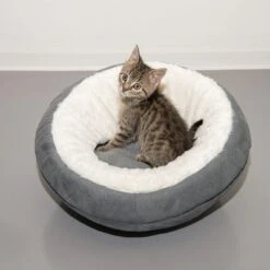 Ellora Cat Den -Perfect Care Shop 116107 und katze fg 5030 9