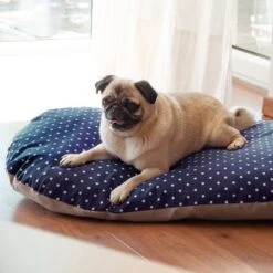 Aumüller Spelt Cushion -Perfect Care Shop 121697 aumueller dinkelkissen hs 06 6