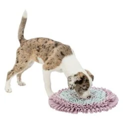 Trixie Junior Sniff And Search Mat -Perfect Care Shop 122207 pla trixie junior schnueffelteppich 38cm hs 05 4