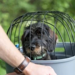 Trixie Friends On Tour Bicycle Basket For Luggage Rack 12 Trixie Friends On Tour Bicycle Basket For Luggage Rack -Perfect Care Shop 122212 trixie friendsontour fahrradkorb gepaecktraeger hs 15 1