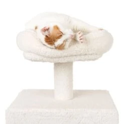 La Digue II Cat Tree -Perfect Care Shop 126196 mit katze fg 4520 1
