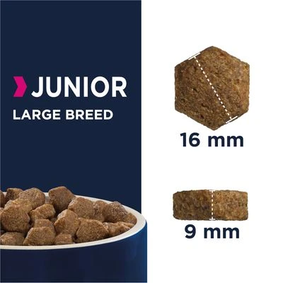 Eukanuba Developing Junior Large & Giant Breed - Chicken 2 Eukanuba Developing Junior Large & Giant Breed - Chicken - Image 2
