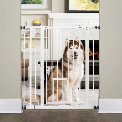 Carlson Extra High Pet Gate With Cat Flap