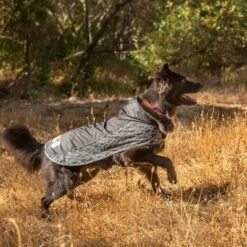 KONG OUTERWEAR Elements Raincoat Black -Perfect Care Shop 130697 paw kong elements regenmantel schwarz 30kg hs 04 2