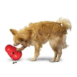 KONG Wobbler Dog Toy -Perfect Care Shop 1355067777031411080314 3