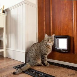 SureFlap Microchip Cat Flap -Perfect Care Shop 136978 sureflap braun mit katze 09 2011 2