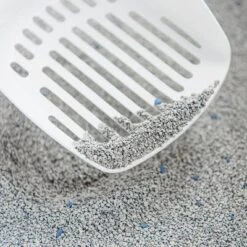 Intersand Classic Unscented Cat Litter 9 Intersand Classic Unscented Cat Litter -Perfect Care Shop 139699 intersand classic katzenstreu parf merei 7kg hs 02 4