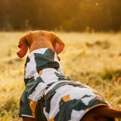 Rukka® Stormy Dog Coat - Camouflage -Perfect Care Shop 139796 lfashion rukka stormy hundemantel camouflage hs 05 0