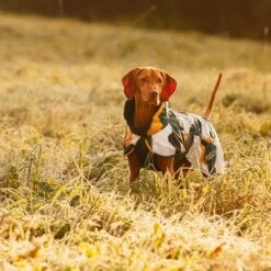 Rukka® Stormy Dog Coat - Camouflage -Perfect Care Shop 139796 lfashion rukka stormy hundemantel camouflage hs 07 5