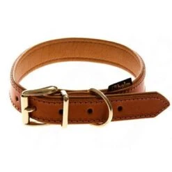 Heim Buffalo Dog Collar - Cognac -Perfect Care Shop 14169 pla lederhalsbandbuffalo cognac 0