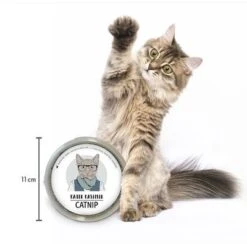 Kater Kasimir Catnip -Perfect Care Shop 144896 asaquaristik kater kasimir katzenminze cat 60g hs 03 9