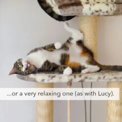 Kater Kasimir Catnip -Perfect Care Shop 144896 asaquaristik kater kasimir katzenminze cat 60g hs 05 4