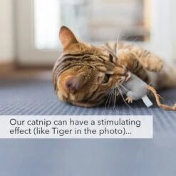 Kater Kasimir Catnip -Perfect Care Shop 144896 asaquaristik kater kasimir katzenminze cat 60g hs 06 3