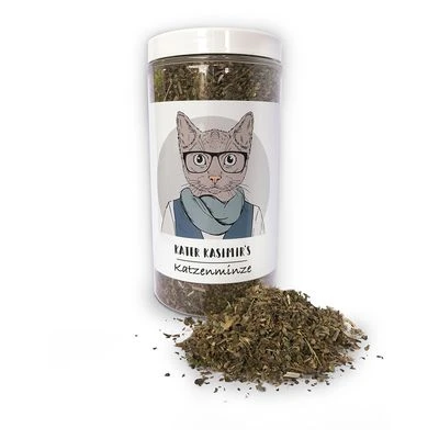 Kater Kasimir Catnip