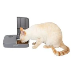 PetSafe® Automatic 2 Meal Pet Feeder 10 PetSafe® Automatic 2 Meal Pet Feeder -Perfect Care Shop 145997 rasiosystems petsafe futterautomat 2mahlzeiten catdog 2x355xml hs 07 9