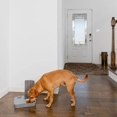 PetSafe® Automatic 2 Meal Pet Feeder 7 PetSafe® Automatic 2 Meal Pet Feeder - Image 7