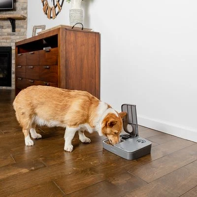 PetSafe® Automatic 2 Meal Pet Feeder 8 PetSafe® Automatic 2 Meal Pet Feeder - Image 8