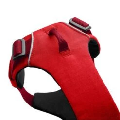 Ruffwear Front Range Dog Harness, Red Sumac -Perfect Care Shop 146300 accapi hundegeschirr front range harness brustumfang small rot 56 96cm hs 04 6