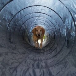 Trixie Agility Tunnel -Perfect Care Shop 15686 trixie agility tunnel fg 16 7