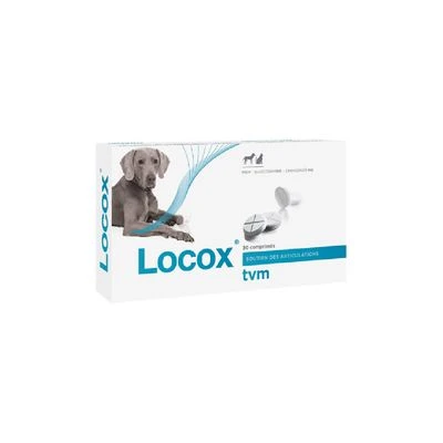 Locox Joint Tablets 1 Locox Joint Tablets