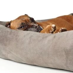 Hunter Bologna Dog Sofa - Stone 14 Hunter Bologna Dog Sofa - Stone -Perfect Care Shop 163796 hunter hundesofa bologna stein dog 90x70cm hs 04 4