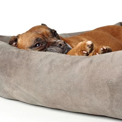 Hunter Bologna Dog Sofa - Stone 7 Hunter Bologna Dog Sofa - Stone - Image 7