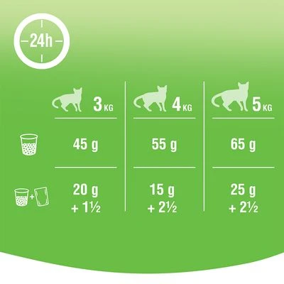 Kitekat Adult Dry Cat Food – Fish And Vegetable 3 Kitekat Adult Dry Cat Food – Fish And Vegetable - Image 3