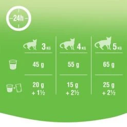 Kitekat Adult Dry Cat Food – Chicken And Vegetable 5 Kitekat Adult Dry Cat Food – Chicken And Vegetable -Perfect Care Shop 164398 marspl kitekat dryadult chickenvegetables hs 04 3