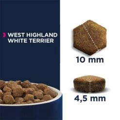 Eukanuba West Highland White Terrier Adult -Perfect Care Shop 170000 tetragmbhiams eukanuba adult breedspecific westhighland whiteterrier 2 5kg hs 05 6