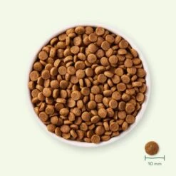 Yarrah Organic Puppy -Perfect Care Shop 17147 dog dry yarrah puppy 2kg 8714265000317 7 4