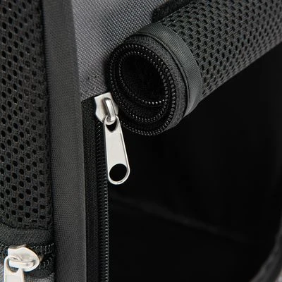 Fiona Collapsible Dog Transport Box 5 Fiona Collapsible Dog Transport Box - Image 5