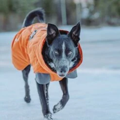 Hurtta Bare Winter Jacket Sunrise 11 Hurtta Bare Winter Jacket Sunrise -Perfect Care Shop 188296 188297 188298 188299 188300 188301 188302 hurtta forzooplus bare winterjacke sunrise hs 16 1