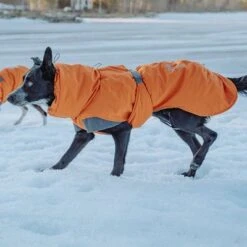 Hurtta Bare Winter Jacket Sunrise 12 Hurtta Bare Winter Jacket Sunrise -Perfect Care Shop 188296 188297 188298 188299 188300 188301 188302 hurtta forzooplus bare winterjacke sunrise hs 17 5