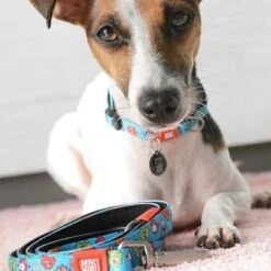 Max & Molly Little Monsters Multifunctional Lead -Perfect Care Shop 189696 186582 189796 maxnmolly multifunktionsleine littlemonsters dog hs 05 0