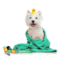 Max & Molly Ducklings Multifunctional Lead -Perfect Care Shop 190096 maxnmolly kurzleine ducklings hs 02 1 1