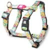 Max & Molly Donut Print H-Harness