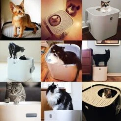 Modko ModKat Cat Litter Box -Perfect Care Shop 190401 modkat katzentoilette hs 01 3