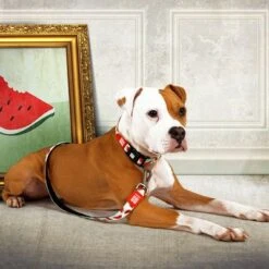 Max & Molly Watermelon Multifunctional Lead -Perfect Care Shop 190411 190702 190412 maxmolly multifunktionsleine watermelon hs 02 3