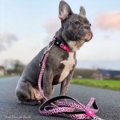 Max & Molly Pink Leopard Short Lead -Perfect Care Shop 190421 maxnmolly kurzleine leopardpink hs 02 7