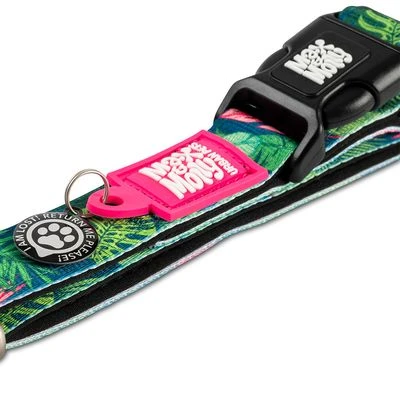 Max & Molly Tropical Smart ID Collar 3 Max & Molly Tropical Smart ID Collar - Image 3