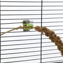 JR FARM JR Birds Foxtail Millet, Yellow -Perfect Care Shop 191183 savic pincer2 2