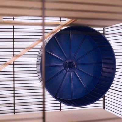 Skyline Fun Area Leon Small Pet Home 6 Skyline Fun Area Leon Small Pet Home - Image 6